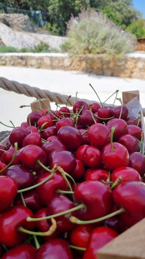 Finca Sa Cova De Mallorca Sencelles Bagian luar foto