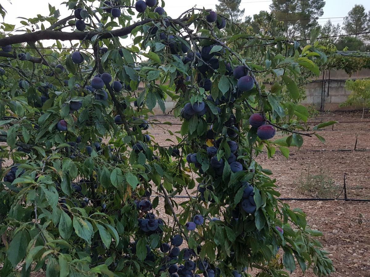 Finca Sa Cova De Mallorca Sencelles Bagian luar foto