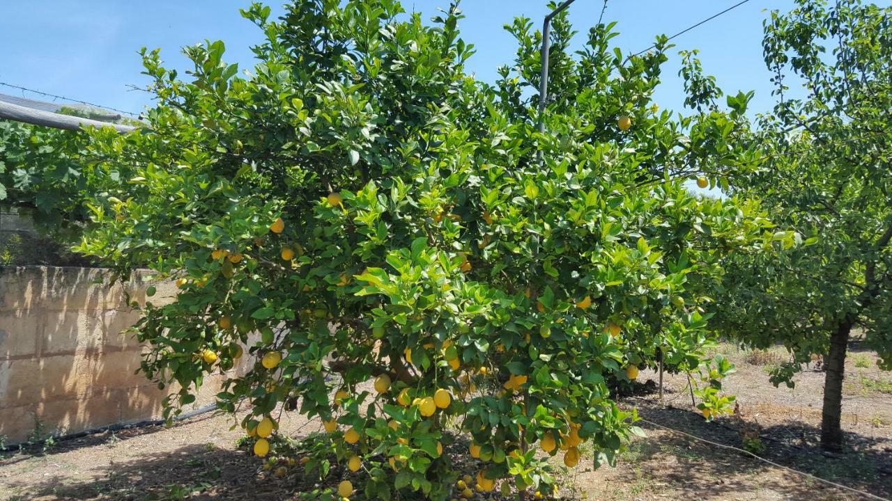 Finca Sa Cova De Mallorca Sencelles Bagian luar foto