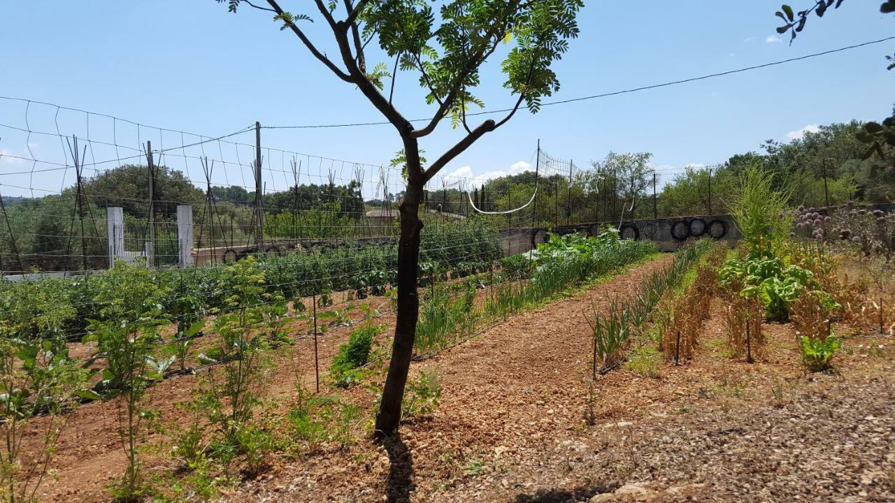 Finca Sa Cova De Mallorca Sencelles Bagian luar foto