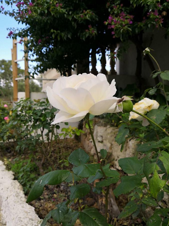 Finca Sa Cova De Mallorca Sencelles Bagian luar foto