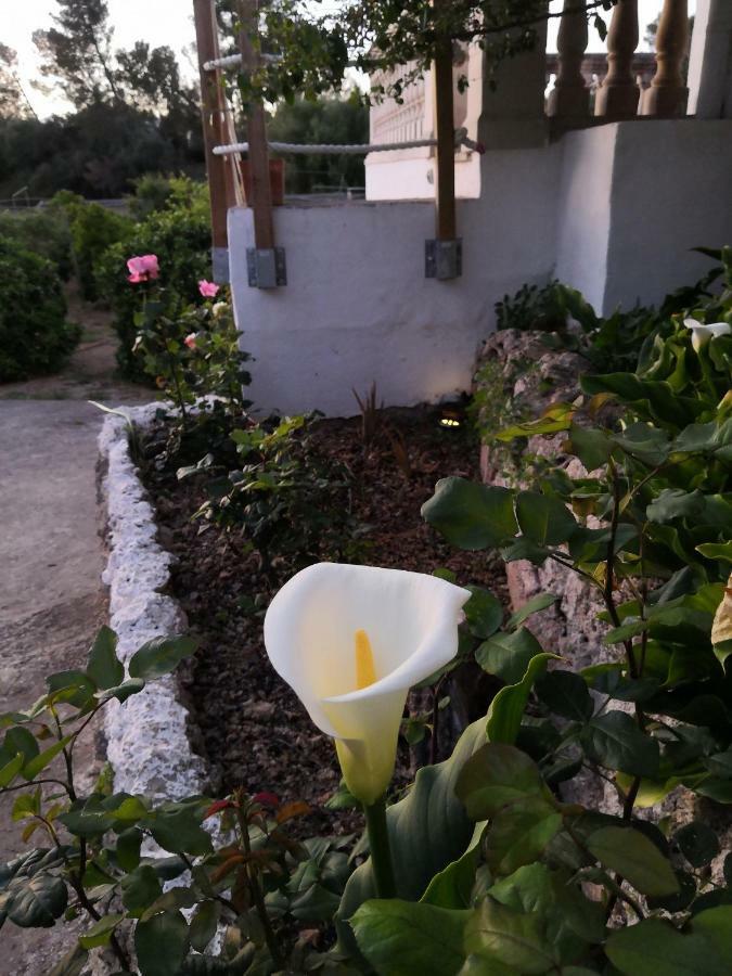 Finca Sa Cova De Mallorca Sencelles Bagian luar foto