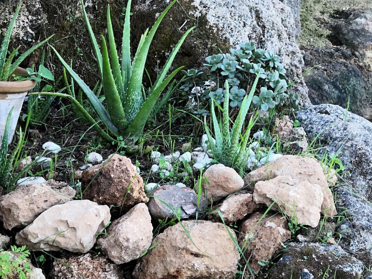 Finca Sa Cova De Mallorca Sencelles Bagian luar foto