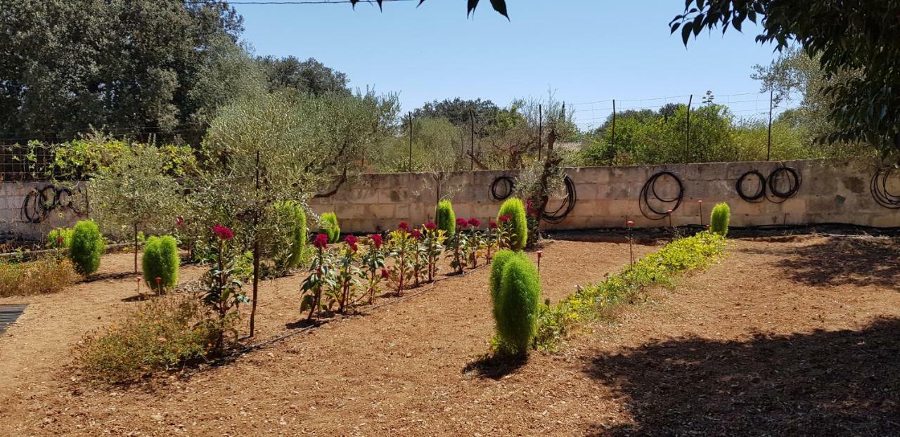 Finca Sa Cova De Mallorca Sencelles Bagian luar foto